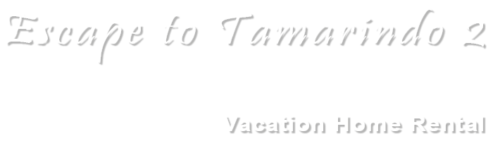 Escape to Tamarindo 2