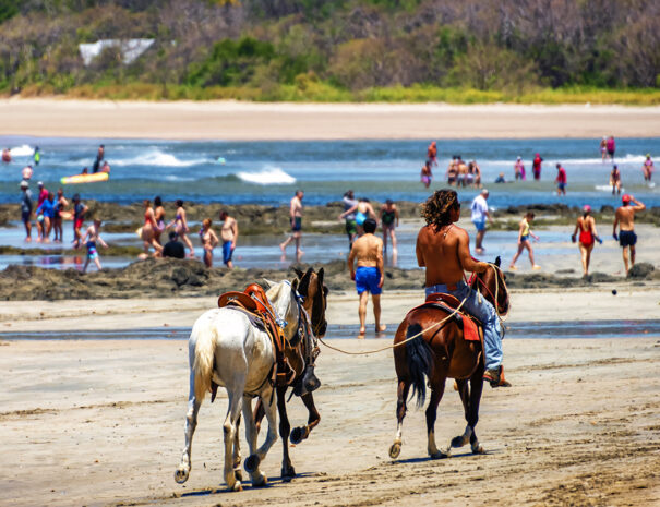 Tamarindo 3-15-2020 1500 DSC_5094 copy