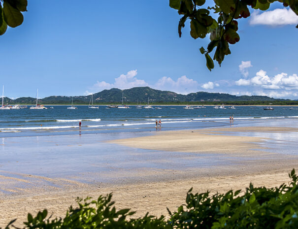 Tamarindo Morning_DSC3900 3x2 copy